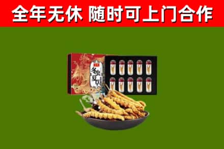 德庆回收冬虫夏草价格